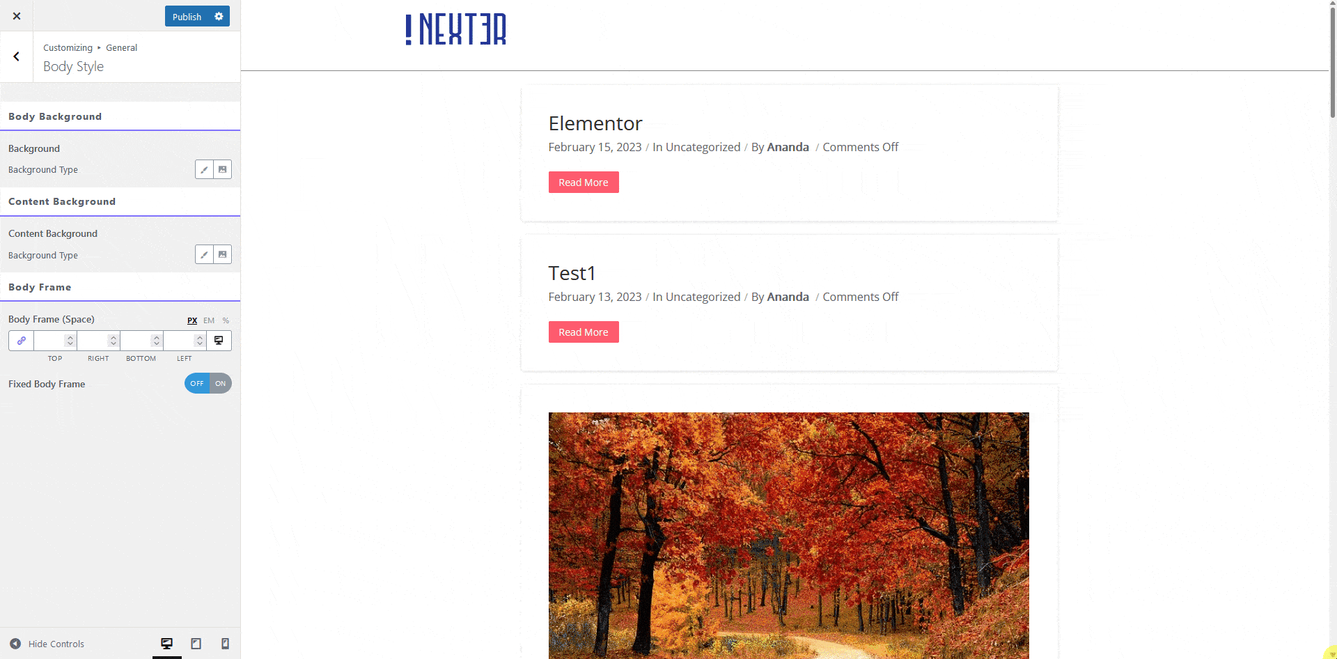 Enhance Your Website's Appearance With General Settings 9 nexter customiser fixed body frame