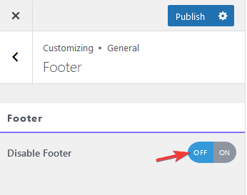 Enhance Your Website's Appearance With General Settings 6 nexter customiser footer
