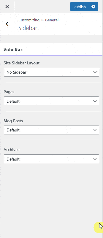 Enhance Your Website's Appearance With General Settings 7 nexter customiser sidebar