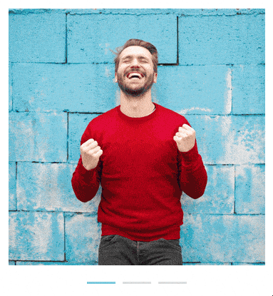 How to Create a WordPress Image Carousel? 2 media listing carousel layout demo