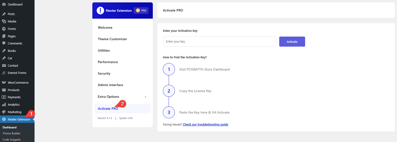 How to Use Nexter Extension With Any WordPress Theme? 10 nexter extension settings activate pro
