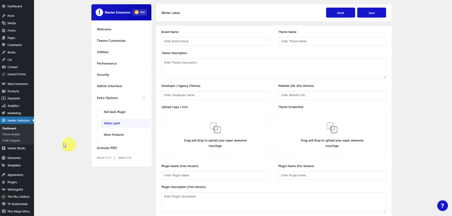 How to Use Nexter Extension With Any WordPress Theme? 8 nexter extension settings extra options white label 1