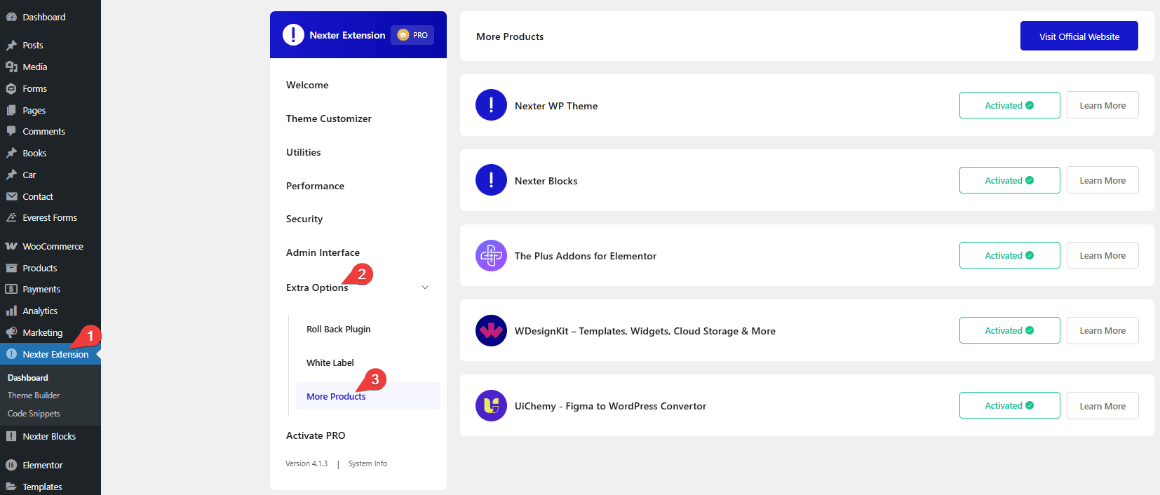 How to Use Nexter Extension With Any WordPress Theme? 9 nexter extension settings more products
