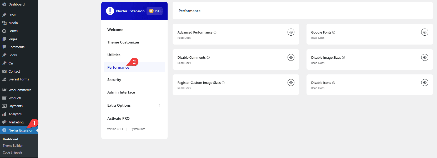 How to Use Nexter Extension With Any WordPress Theme? 4 nexter extension settings performance