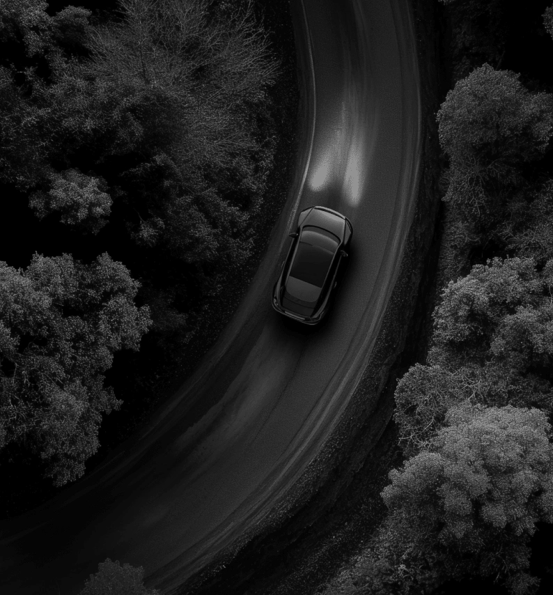 Image & Photo Carousel Block For WordPress 54 Slider demo four style six image three