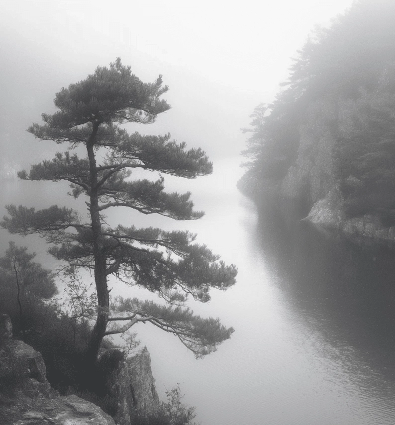 Image & Photo Carousel Block For WordPress 37 slider demo four style one