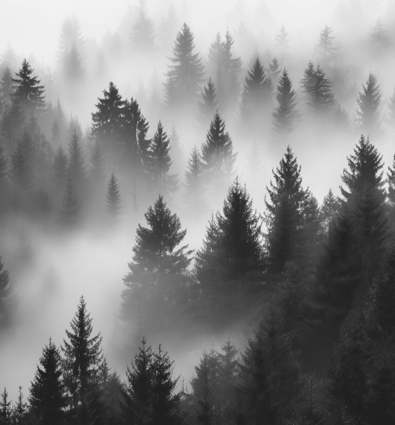 Image & Photo Carousel Block For WordPress 38 slider demo four style two