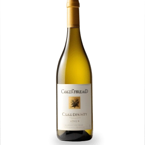 Penfolds Bin 389 2018