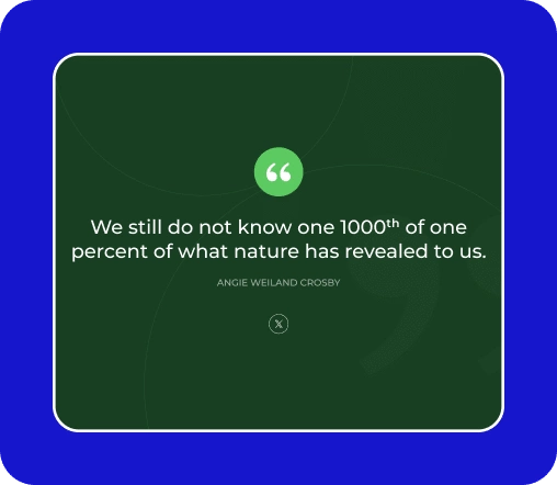 Block Quotes Block For WordPress 6 Blockquotes with Multi Social Sharing Icons