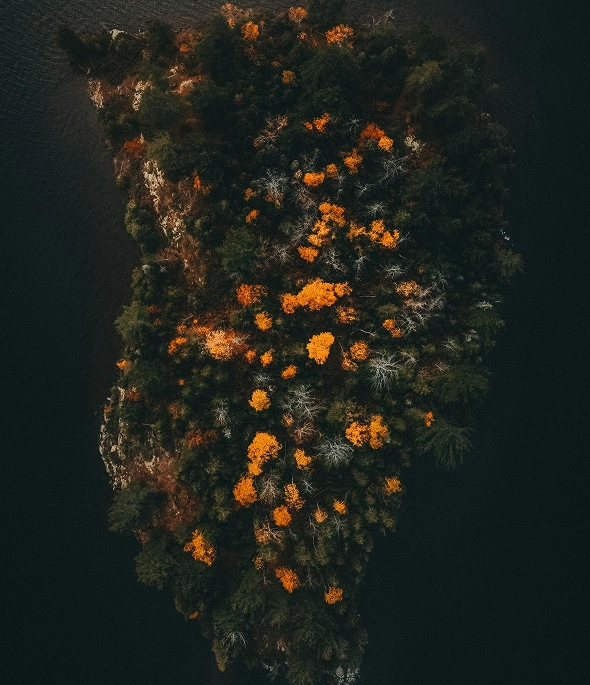 hans-isaacson-O0PrBE1yagI-unsplash 1