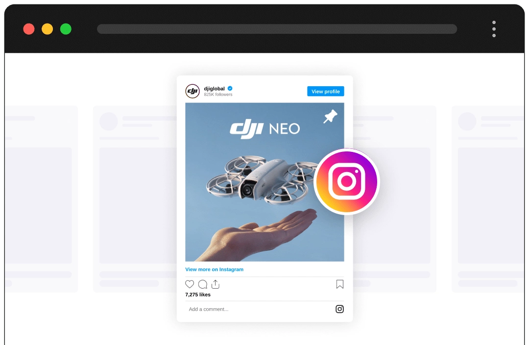 Social Embed Block For WordPress 2 Instagram Embed