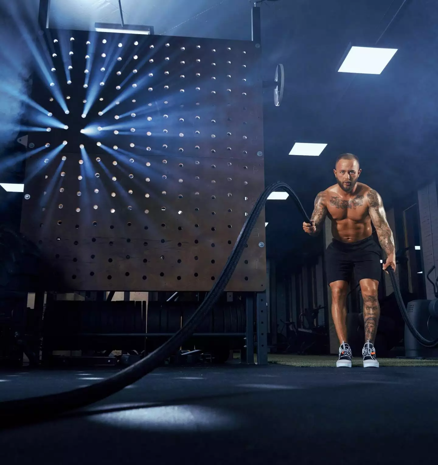 Magic Scrolling Animations Block For WordPress 20 Creative Image