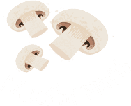 Magic Scrolling Animations Block For WordPress 22 Creative Image