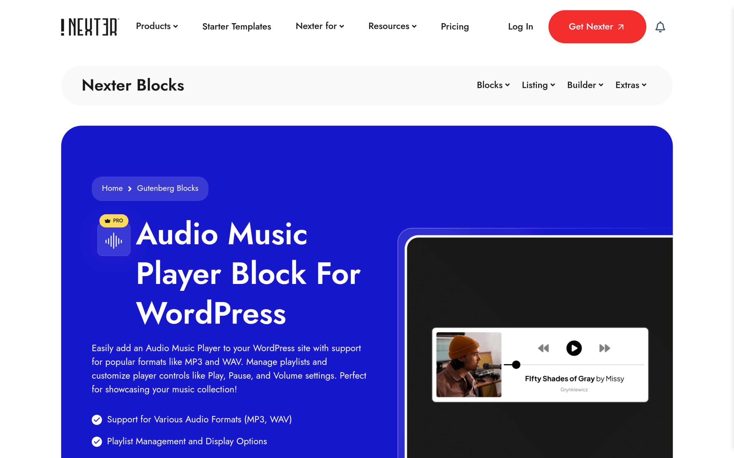 Audio Music Player by Nexter live demo page