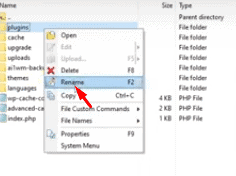 Renaming the wp-content plugins folder over FTP to disable all WordPress plugins at once