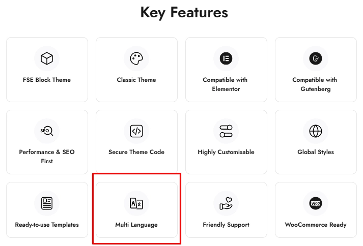 Install Multi Language WordPress Theme