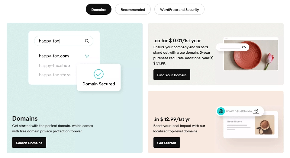 Domain Selection and Registration